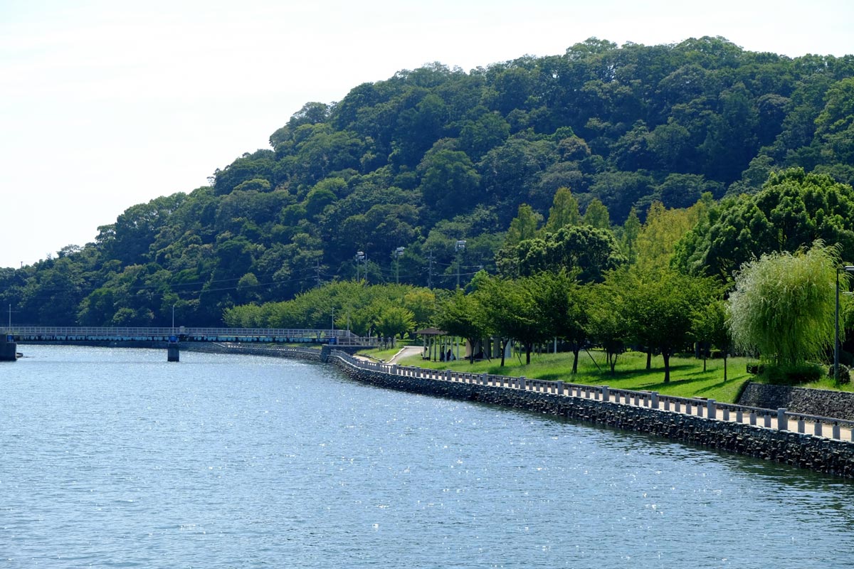 徳島で「成長」が止まっていませんか？4月に考える、キャリアを育む『土壌』の話